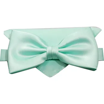 Motýlek Motýlek Brinkleys Classic s kapesníčkem - pistáciový