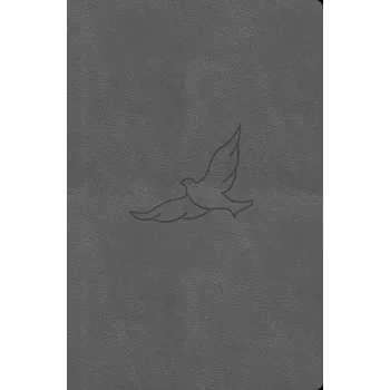 Duchovní literatura Bible 21 kapesní Pepper