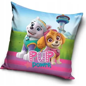 Povlak na dekorativní polštářek Tlapková patrola POVLAK NA POLŠTÁŘ PATROLA PRO DĚTI 40x40