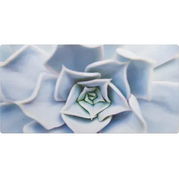 Obraz Podložka na stůl pro grafiky a designéry Sukulenty spirálovité 90x45 cm