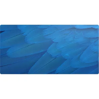 Obraz Prostiskluzová podložka pod myš a klávesnici - Ptačí pera zblízka, 90x45 cm