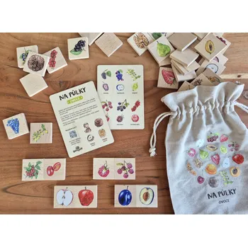 Dřevěná hračka NA PŮLKY - Ovoce