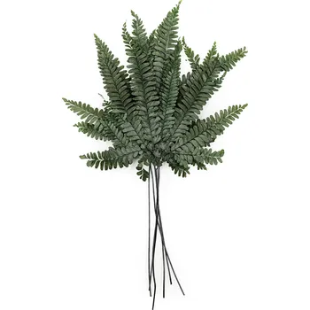 mech-mech.cz Stabilizovaná kapradina - Žebrovice různolistá - zelená