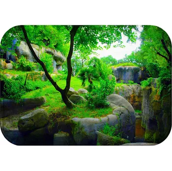 Koupelnová předložka KOUPELNOVÁ PŘEDLOŽKA PROTISKLUZOVÁ ANTIBAKTERIÁLNÍ 60X40 ZIELEŃ DRZEWA SKAŁY