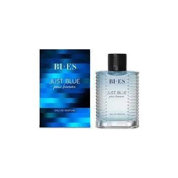 Pánský parfém Toaletní voda BI-ES 100 ml