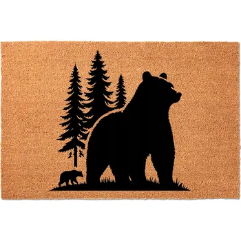 Rohožka ROHOŽKA PŘED DVEŘE KOKOSOVÁ PVC 40x60 cm - VZORY LETADLA