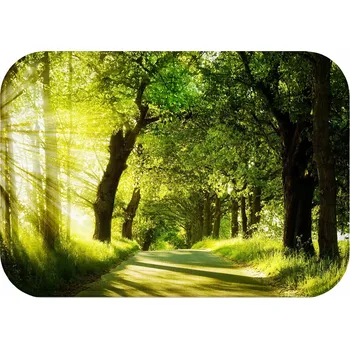 Obraz KOUPELNOVÁ PŘEDLOŽKA PROTISKLUZOVÁ ANTIBAKTERIÁLNÍ 60X40 LAS DRZEWA PRZYRODA