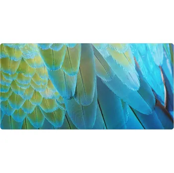 Obraz Vinylová ochranná podložka s moderním vzorem Ptačí pera zblízka 90x45 cm