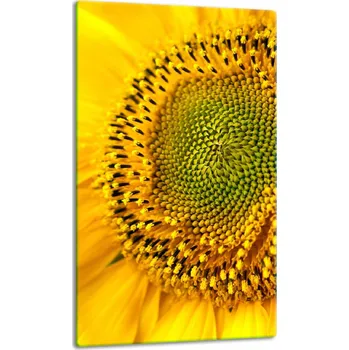 Obraz Krájecí deska TMK ArtDeko sklo 1 ks