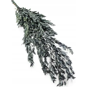umělá květina Eukaliptus Parvifolia - Stabilizovaný Eukalyptus - Zelený