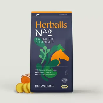 Krmivo pro koně Pamlsky HILTON HERBS Herballs Turmeric & Ginger 2 kg