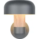 Nástěnné venkovní svítidlo (výška 24,5 cm) Fraser – Trio ID_1753690