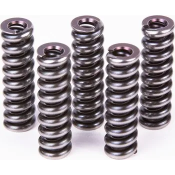 Spojovací materiál motoru Pružina BOSCH 2 434 614 041