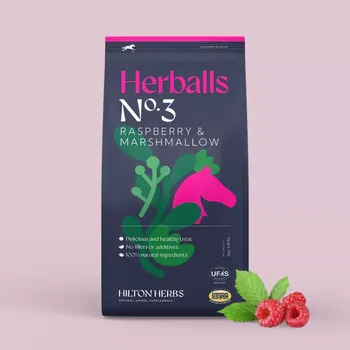 Krmivo pro koně Pamlsky HILTON HERBS Herballs Raspberry & Marshmallow 2 kg