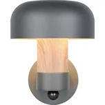 Nástěnné venkovní svítidlo (výška 24,5 cm) Fraser – Trio ID_1753624