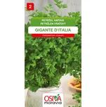 Osiva Moravia Petržel naťová Gigante…