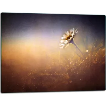 Kuchyňské prkénko Krájecí deska TMK ArtDeko sklo 1 ks