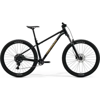 Horské kolo Merida BIG.TRAIL 300 Black(Brown) 2025, L