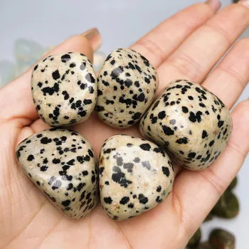Přírodní kámen Přírodní leštěný kámen pro energii a dekoraci | krystal dekorace | přírodní minerály - Jaspis dalmatský , 100 gramů