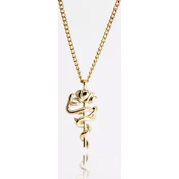 Řetízek Řetízek z chirurgické oceli - ZLATÁ RŮŽE A HAD
