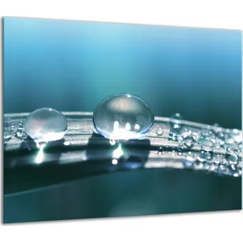 Obraz SKLENĚNÁ OCHRANNÁ DESKA NA SPORÁK 60x52 KAPKY