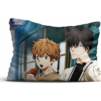 Polštář Polštář filmový, herní, knižní, komiksový Anime, Manga 40 x 30 cm