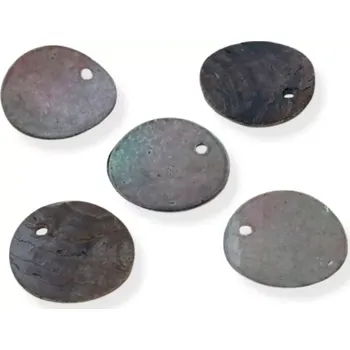 Materiál na výrobu šperku Perleťové penízky tmavá perleť - 20 ks