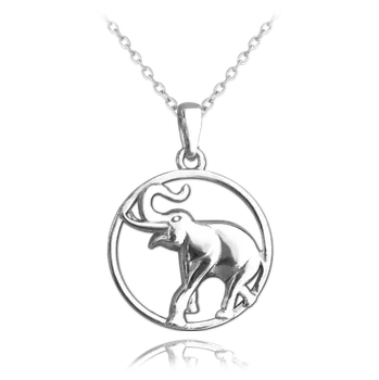 Náhrdelník Náhrdelník MINET JMAN0036EN42