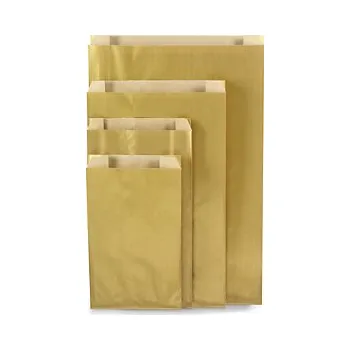 Sáček do vysavače Papírové sáčky, zlaté, 240 x 390 x 75 mm - Balení po 1 ks