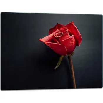 Kuchyňské prkénko Krájecí deska TMK ArtDeko sklo 1 ks