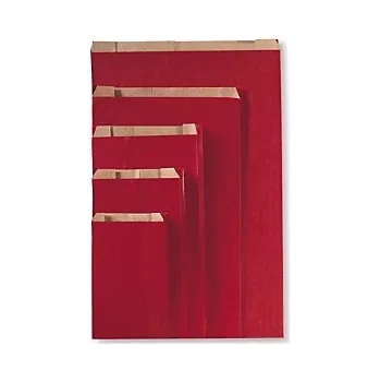 Sáček do vysavače Papírové sáčky, červené 310 x 80 x 470 mm - Balení po 1 ks