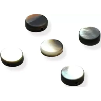 Materiál na výrobu šperku Korálky perleťové placičky - 5 ks