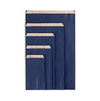 Sáček do vysavače Papírové sáčky, modré 240 x 75 x 390 mm - Balení po 1 ks