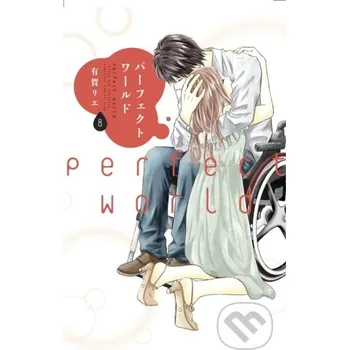 Komiks pro dospělé Perfect World 8 - Rie Aruga Kodansha Comics