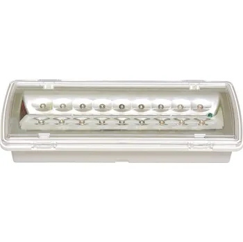 Průmyslové svítidlo ECOLITE Nouzové LED svítidlo LEDER 2, 2,7W, 3h, 130 lm, IP65