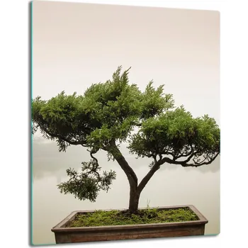 Obraz Krájecí deska TMK ArtDeko sklo 1 ks