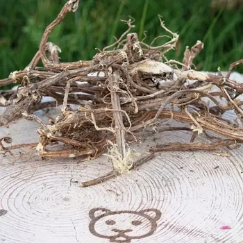 Krmivo pro hlodavce Kopřiva - kořen