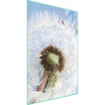 Obraz Krájecí deska TMK ArtDeko sklo 1 ks