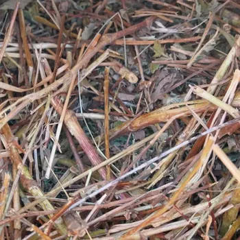 Krmivo pro hlodavce Řepík