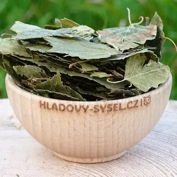 Krmivo pro hlodavce Bříza list