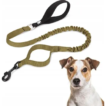 Vodítko pro psa Tradiční Vodítko Truelove s páskou 1,6 m