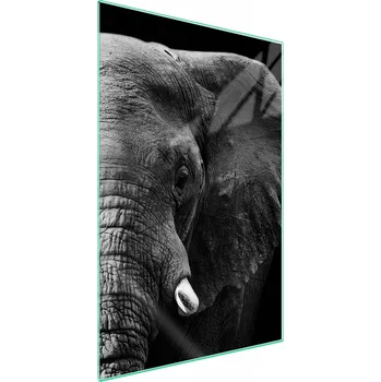 Obraz Krájecí deska TMK ArtDeko sklo 1 ks