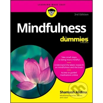Mindfulness For Dummies - Shamash Alidina