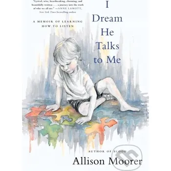 Populárně naučná literatura pro dospělé I Dream He Talks to Me - Allison Moorer Da Capo