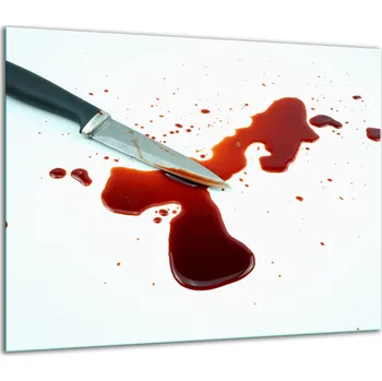 Obraz SKLENĚNÁ OCHRANNÁ DESKA NA SPORÁK 60x52 cm - 1 KUS