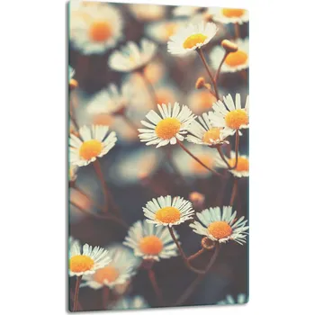 Obraz Krájecí deska TMK ArtDeko sklo 1 ks