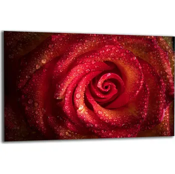 Obraz SKLENĚNÁ OCHRANNÁ DESKA NA SPORÁK 80x52 KVĚTINA RŮŽE Tvrzené Sklo KUCHYNĚ 7v1