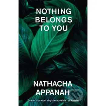 Beletrie pro dospělé Nothing Belongs to You - Appanah, Nathacha
