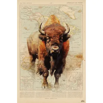 Plakát Plakát, Obraz - Bison, Thomas Chedeville