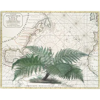 Plakát Plakát, Obraz - Tropical Empire No4, Andrea Haase